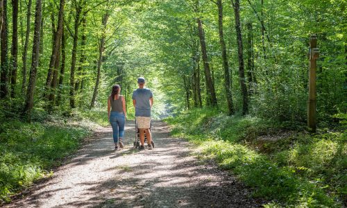 Promenade en poussette - lieu dit la Gauchmatt Soultzmatt